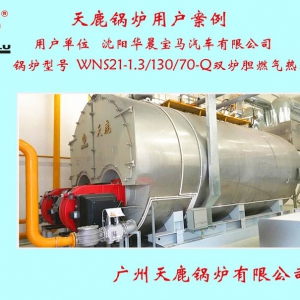 沈陽華晨寶馬汽車有限公司一臺WNS21雙爐膽燃氣熱水鍋爐